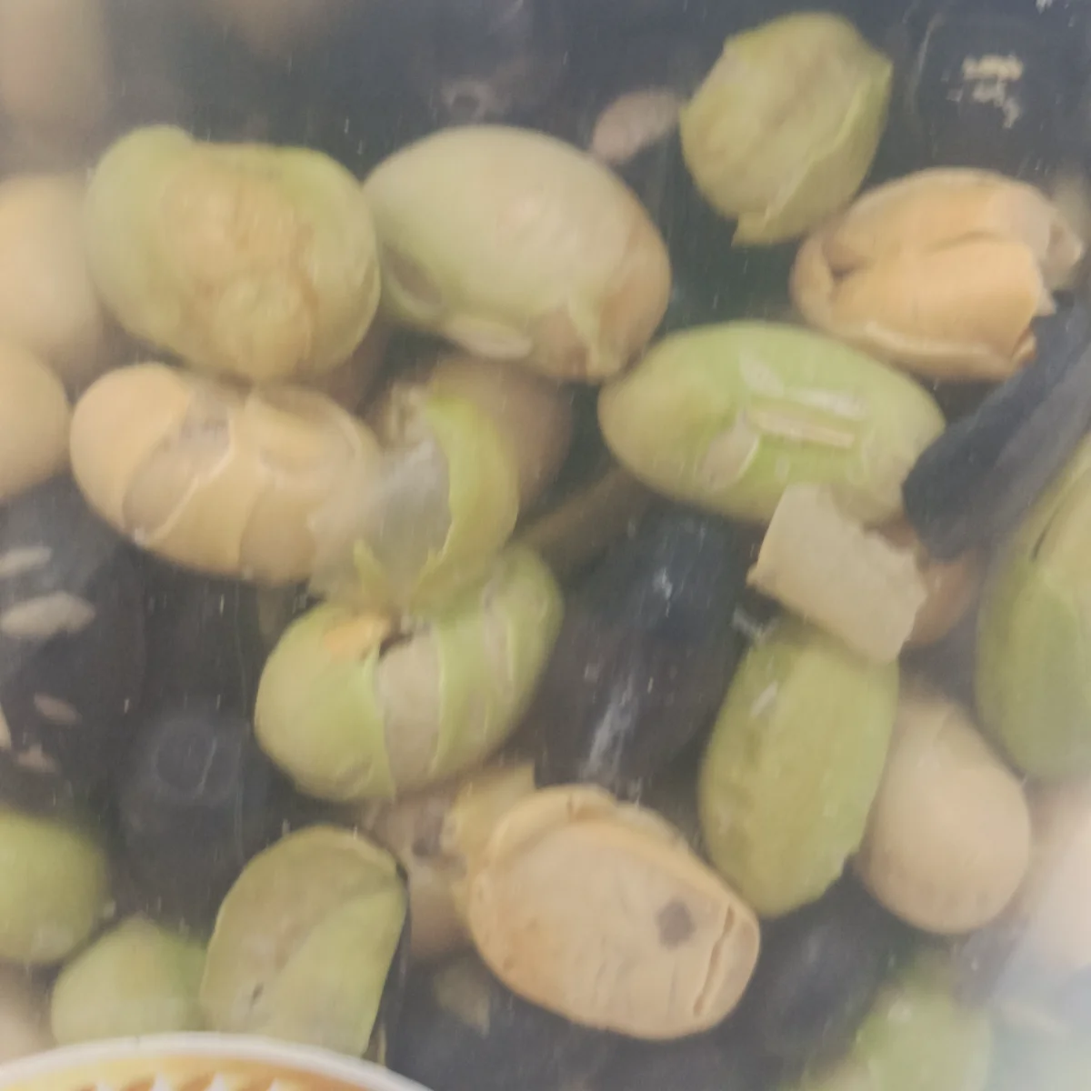 Protein Beans - 1