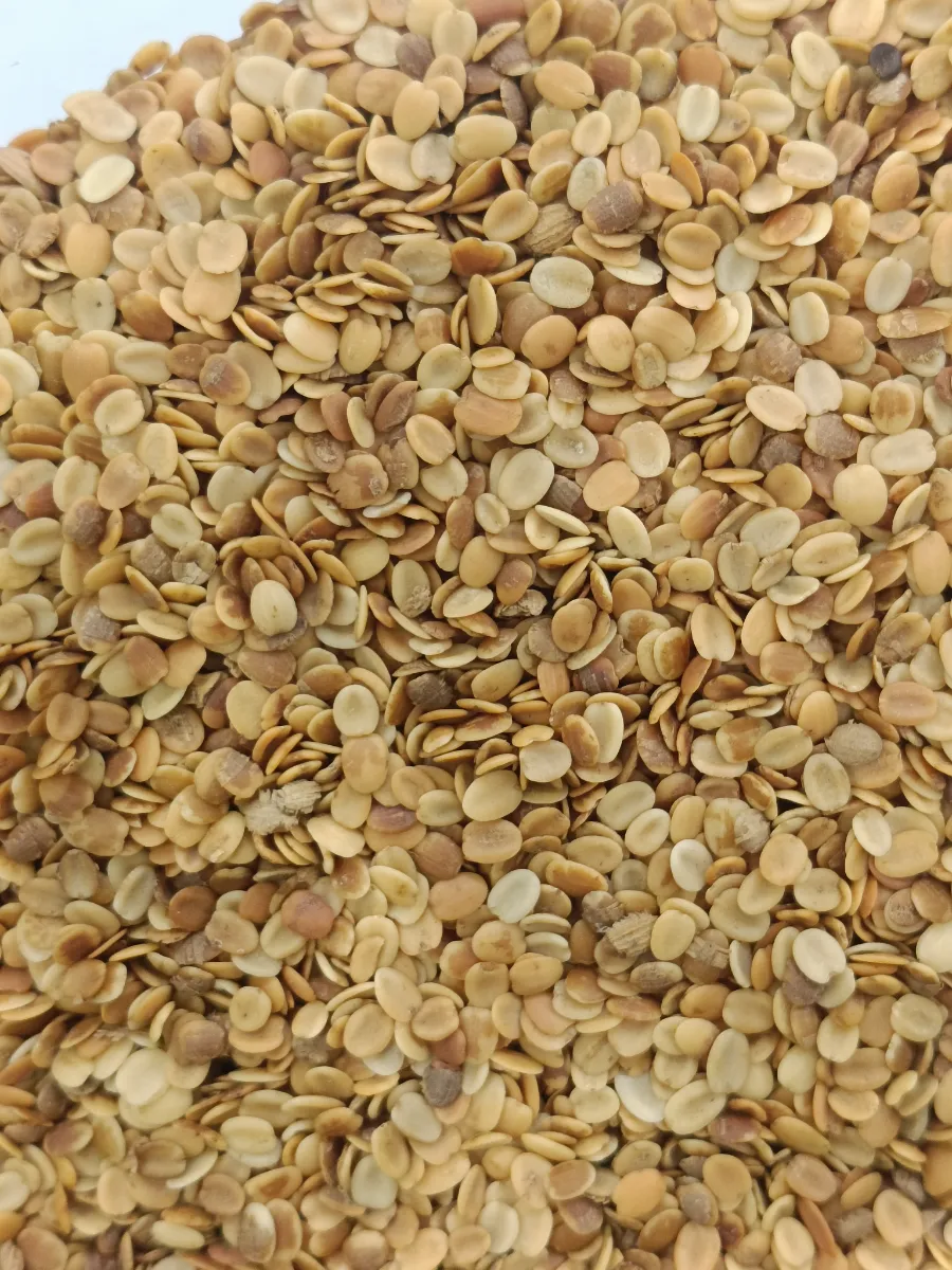 Dana dal - 0